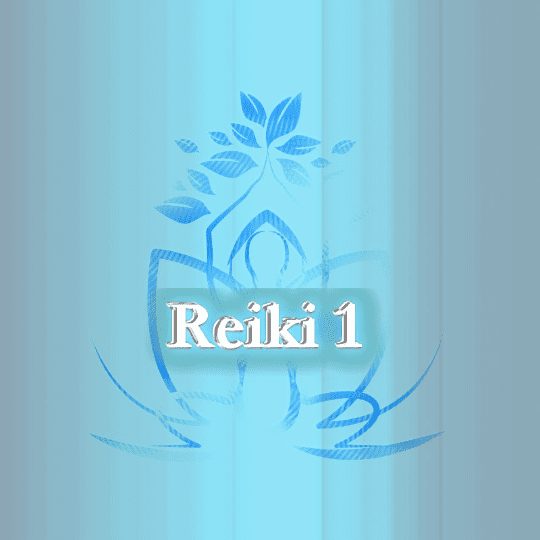 Reiki Reverend Reiki 1 Training Course