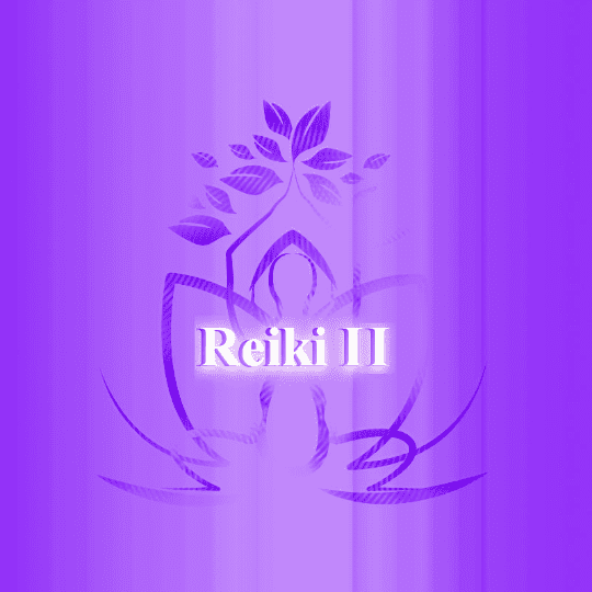 Reiki Reverend Reiki 2 Training Course