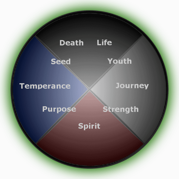 Reiki Reverend Shamanic Medicine Wheel