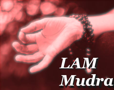 Lam Mudra Muladhara Chakra Therapy